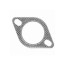 Exhaust Pipe Gasket