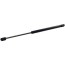 Bonnet Gas Spring