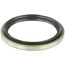 Shaft Seal (MT)