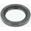 Shaft Seal (AT)